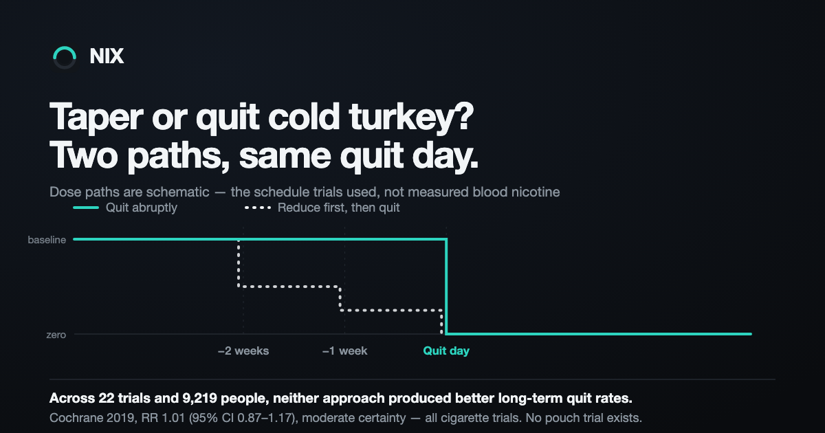 Two schematic dose paths arriving at the same quit day: quitting abruptly holds at baseline then drops to zero, while reducing first steps down to half, then a quarter, then zero.
