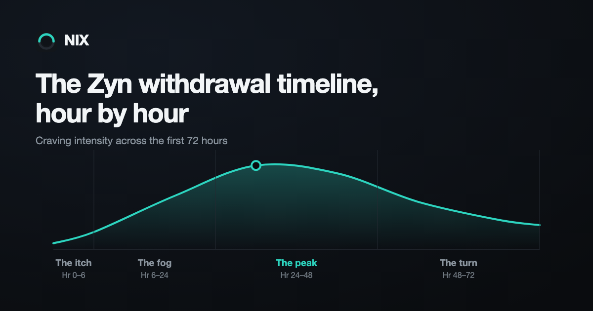 Craving intensity across the first 72 hours after quitting nicotine pouches: low through hours 0–6 (the itch), climbing through 6–24 (the fog), peaking between 24 and 48 (the peak), then falling through 48–72 (the turn).